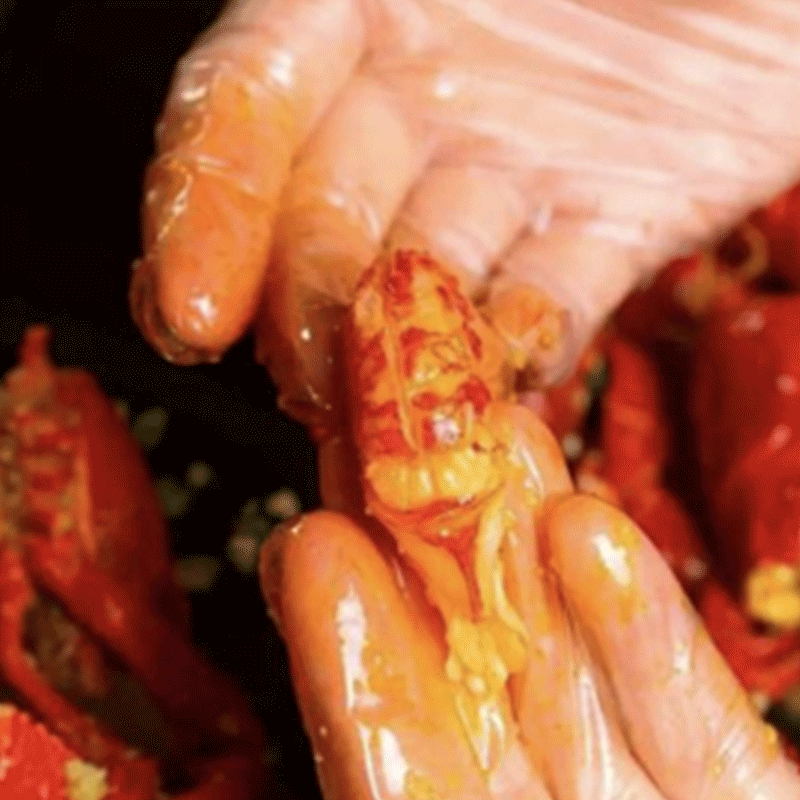 手术手套是什么材质⑦加厚一次性TPE手套丨防油污，无异味，无粉尘，食品级材质，高弹性不易破_https://www.jmylbn.com_新闻资讯_第7张