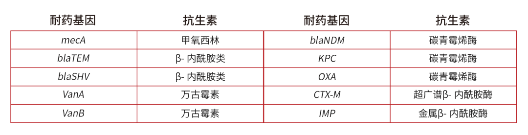 怎么鉴定呼吸套装真伪重磅产品来袭｜RDseq-呼吸感染症候群基因检测及耐药基因鉴定产品，正式上线_https://www.jmylbn.com_新闻资讯_第3张