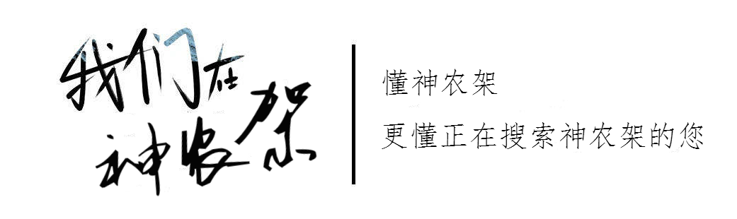 神农架旅游攻略_武当山到神农架旅游攻略_神农架旅游攻略自驾游