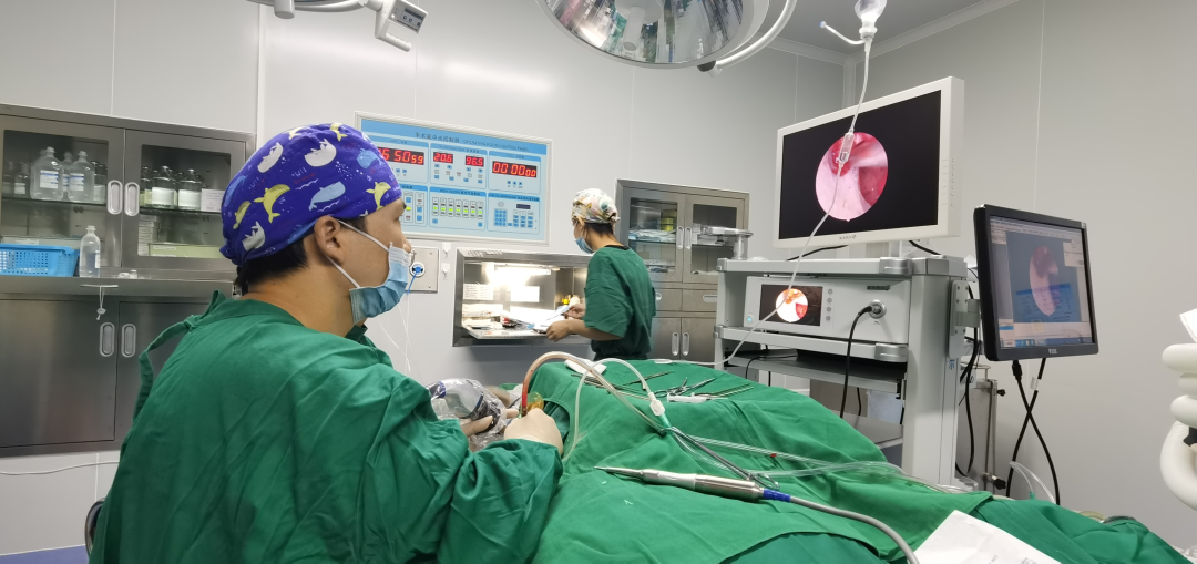 操作鼻窦镜时怎么摆【红旗分享】鼻内镜手术简介及术后注意事项_https://www.jmylbn.com_新闻资讯_第6张