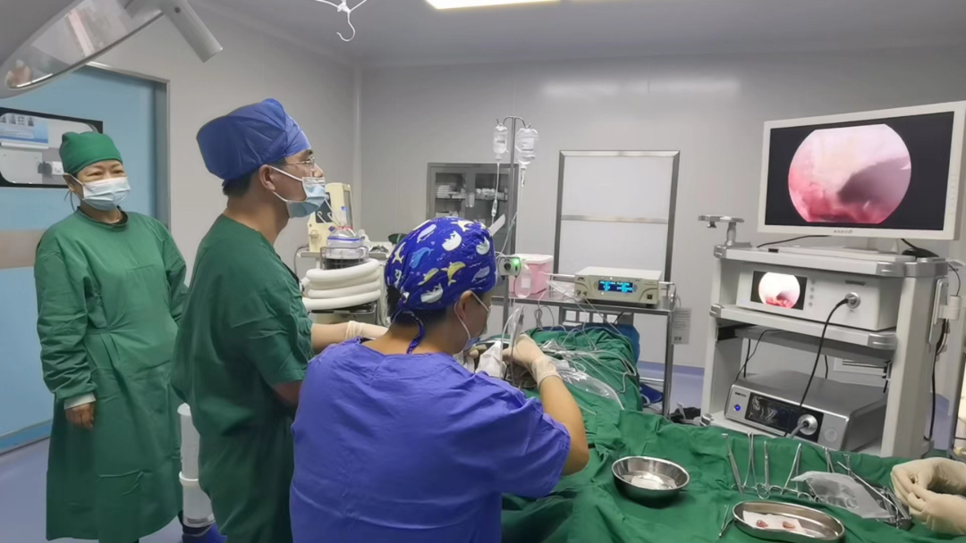 操作鼻窦镜时怎么摆【红旗分享】鼻内镜手术简介及术后注意事项_https://www.jmylbn.com_新闻资讯_第7张