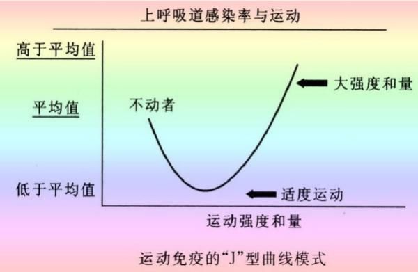 减肥运动计划_运动减肥_减肥运动视频教程