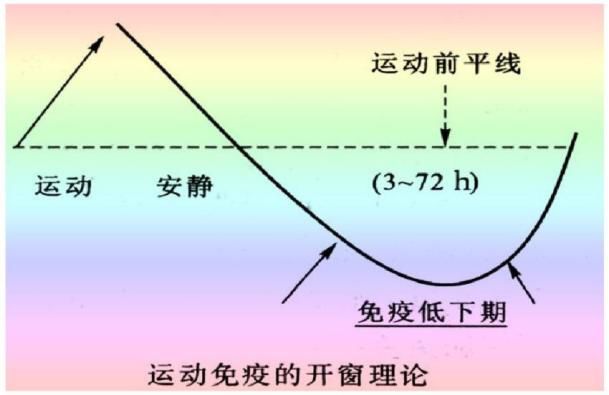 运动减肥_减肥运动计划_减肥运动视频教程