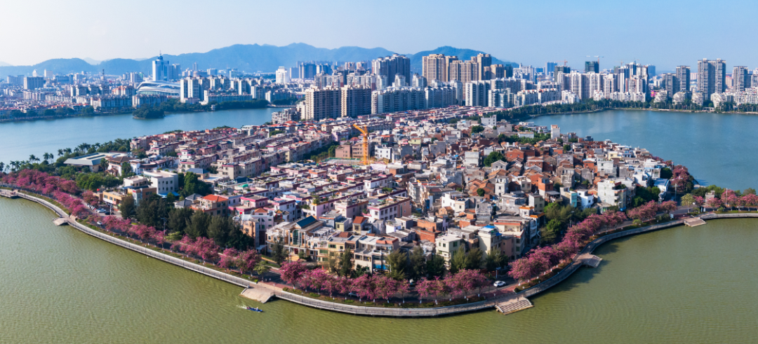 贯彻落实党代会精神城西街道以高质量发展为统领真抓实干创佳绩