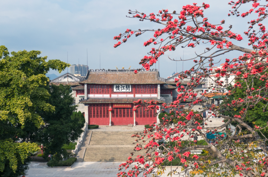 △阅江楼木棉花。肇庆市融媒体中心记者 吴勇强 摄