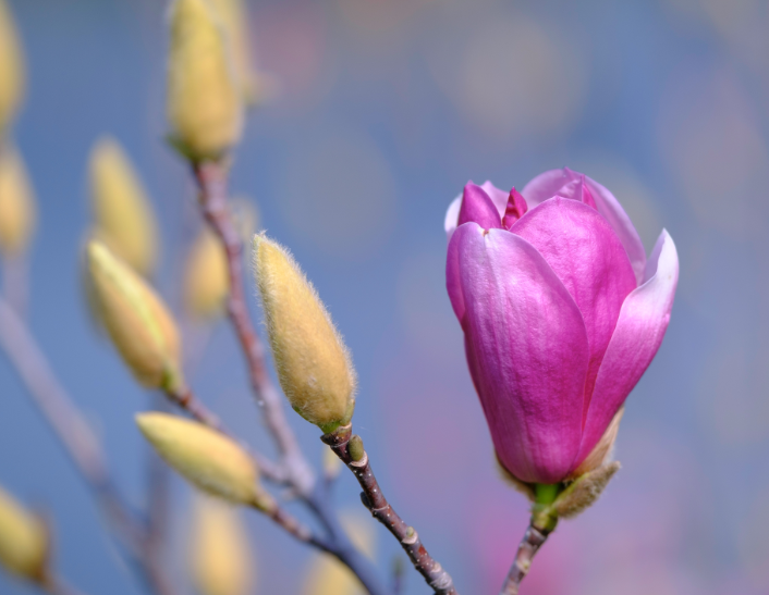 △肇庆市融媒体中心记者 吴勇强 摄