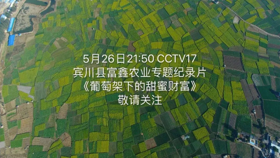 cctv致富经_央视致富经_cctv2致富经