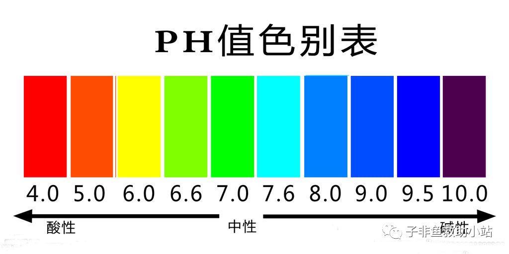 聊聊ph值 这个很重要 上行鱼创意工作室 微信公众号文章阅读 Wemp