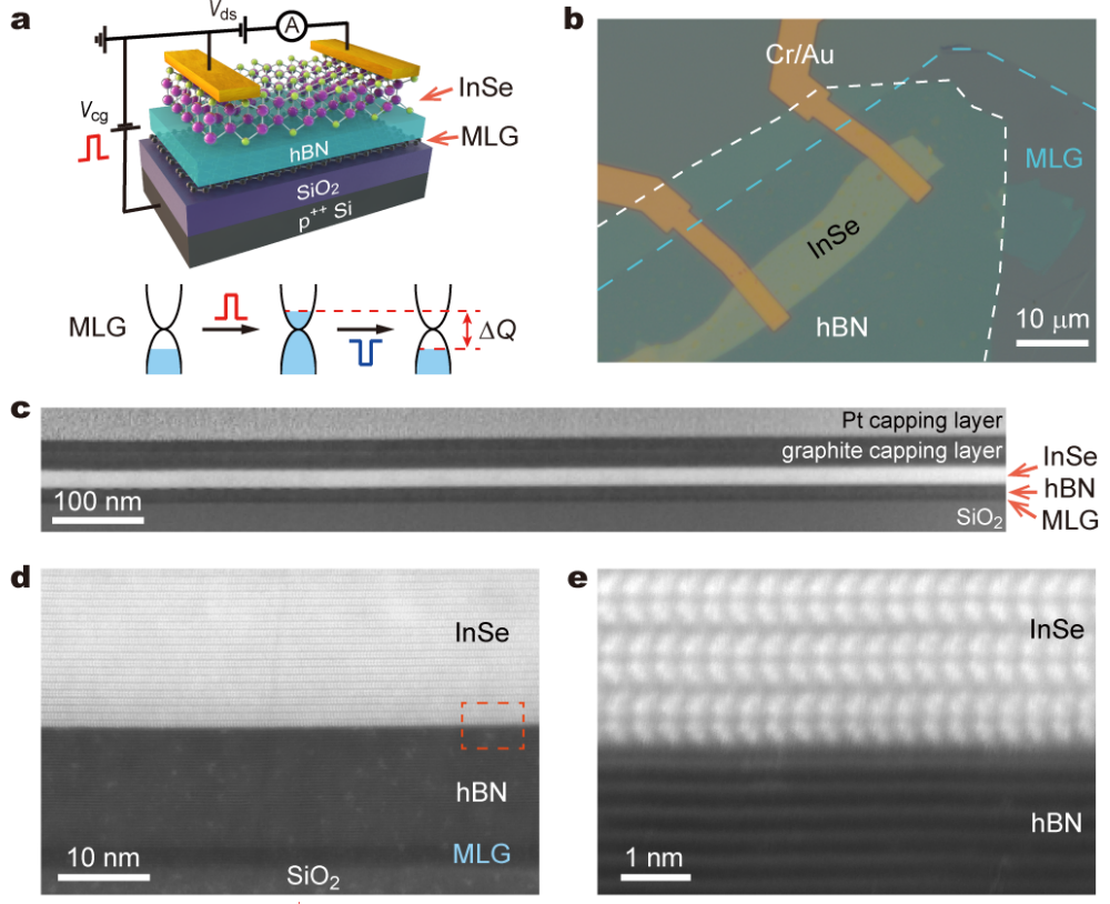 又快又穩定！高鴻鈞院士團隊最新《Nature Nanotechnology》的圖2