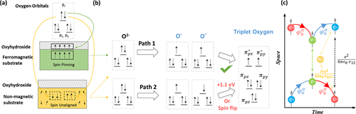 两篇《Nature Commun》！界面自旋钉扎效应提高析氧反应效率的图3