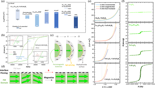 两篇《Nature Commun》！界面自旋钉扎效应提高析氧反应效率的图2