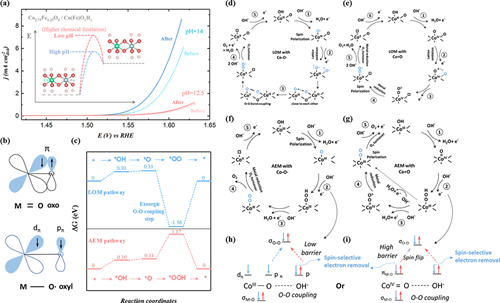 两篇《Nature Commun》！界面自旋钉扎效应提高析氧反应效率的图4