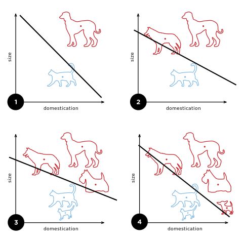 机器学习是如何区分猫和狗的？