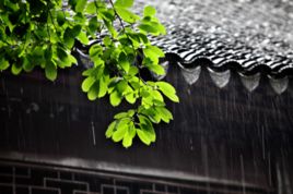 6月18日起盐城正式进入梅雨期 出梅要至下月