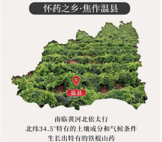 �������У���������������20��������ײ˶�������������һ��Ƣθ�á����ʰ���ȫ�Ҷ���~