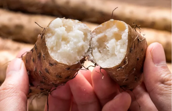 �������У���������������20��������ײ˶�������������һ��Ƣθ�á����ʰ���ȫ�Ҷ���~