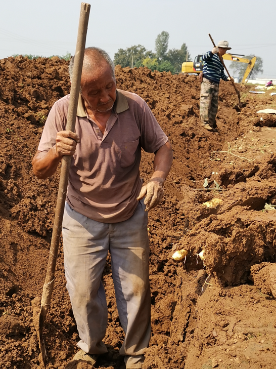 �������У���������������20��������ײ˶�������������һ��Ƣθ�á����ʰ���ȫ�Ҷ���~