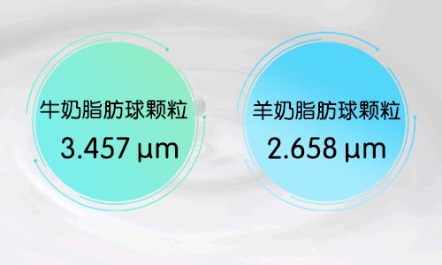 ��ţ��ǿ13������ͺȱ�����������Ӫ����θůů�ģ�ȫ�Ҷ���~