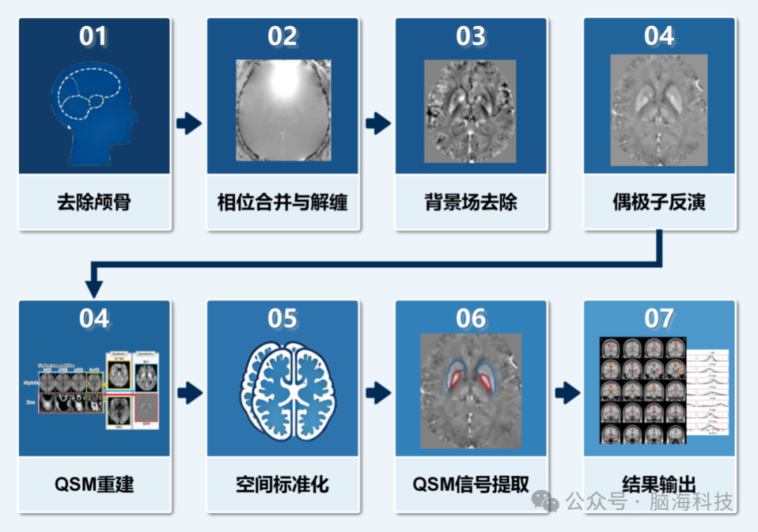 QSM分析流程.png