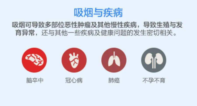 粪沉渣怎么取健康管理 ｜ 世界无烟日，烟民健康体检你检查对了吗？_https://www.jmylbn.com_新闻资讯_第5张