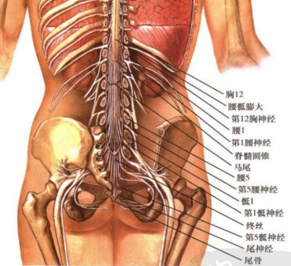 哪个盆底治疗仪好中医康复科｜坐着就能把病治好的神器——盆底磁刺激仪！_https://www.jmylbn.com_品牌排行榜_第4张