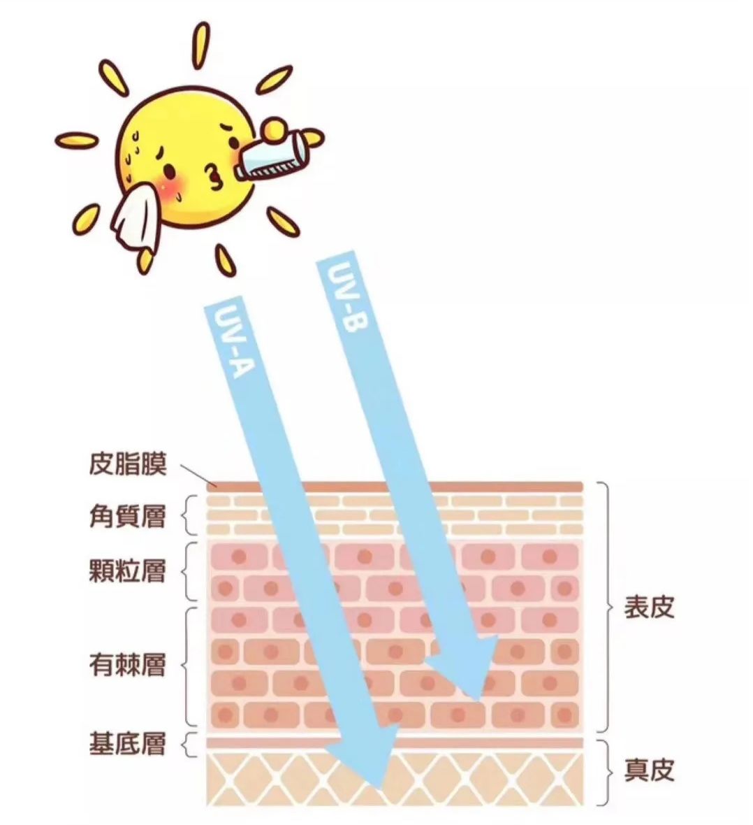 Byphasse蓓昂斯 防晒最容易忽略的细节 居然80 的人都不知道 Byphasse蓓昂斯官方旗舰店