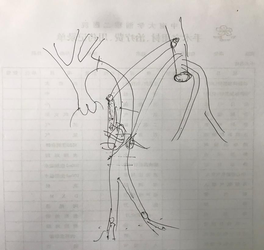 纱块怎么利用156颗缝针、40块盐水垫、20块纱布......_https://www.jmylbn.com_新闻资讯_第2张