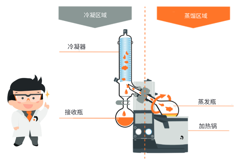 Fig. 9_ Set-up of a rotary evapo (2).png