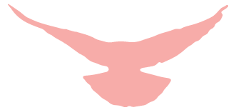 710