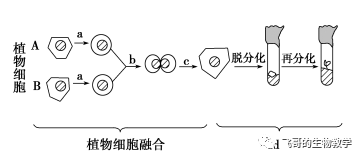 生物技术 细胞工程 应该这么归纳 飞哥的生物教学 微信公众号文章阅读 Wemp