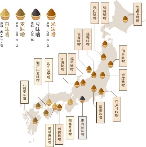 味噌 浩勤发现 微信公众号文章阅读 Wemp