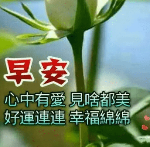 今日最新早上好表情图片大全，祝愿你平安，健康，快乐每一天！(早上好表情图片 新版2020)