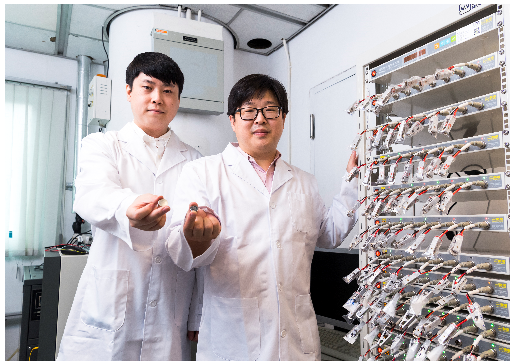 研究人員開發(fā)新型錳基正極材料 使鋰電池充放電次數(shù)翻倍的圖1