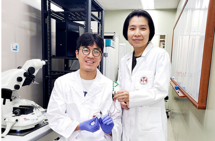 浦項大學(xué)可在30分鐘內(nèi)合成鋰硫電池正極材料的圖1