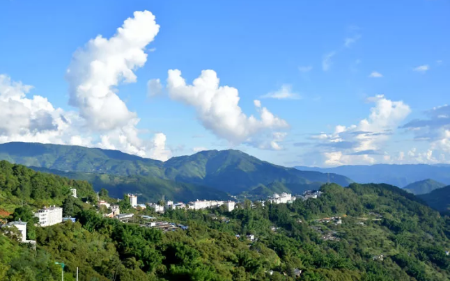 雲南縣域十四五這樣開局鎮沅縣全力打造世界茶王芳香鎮沅