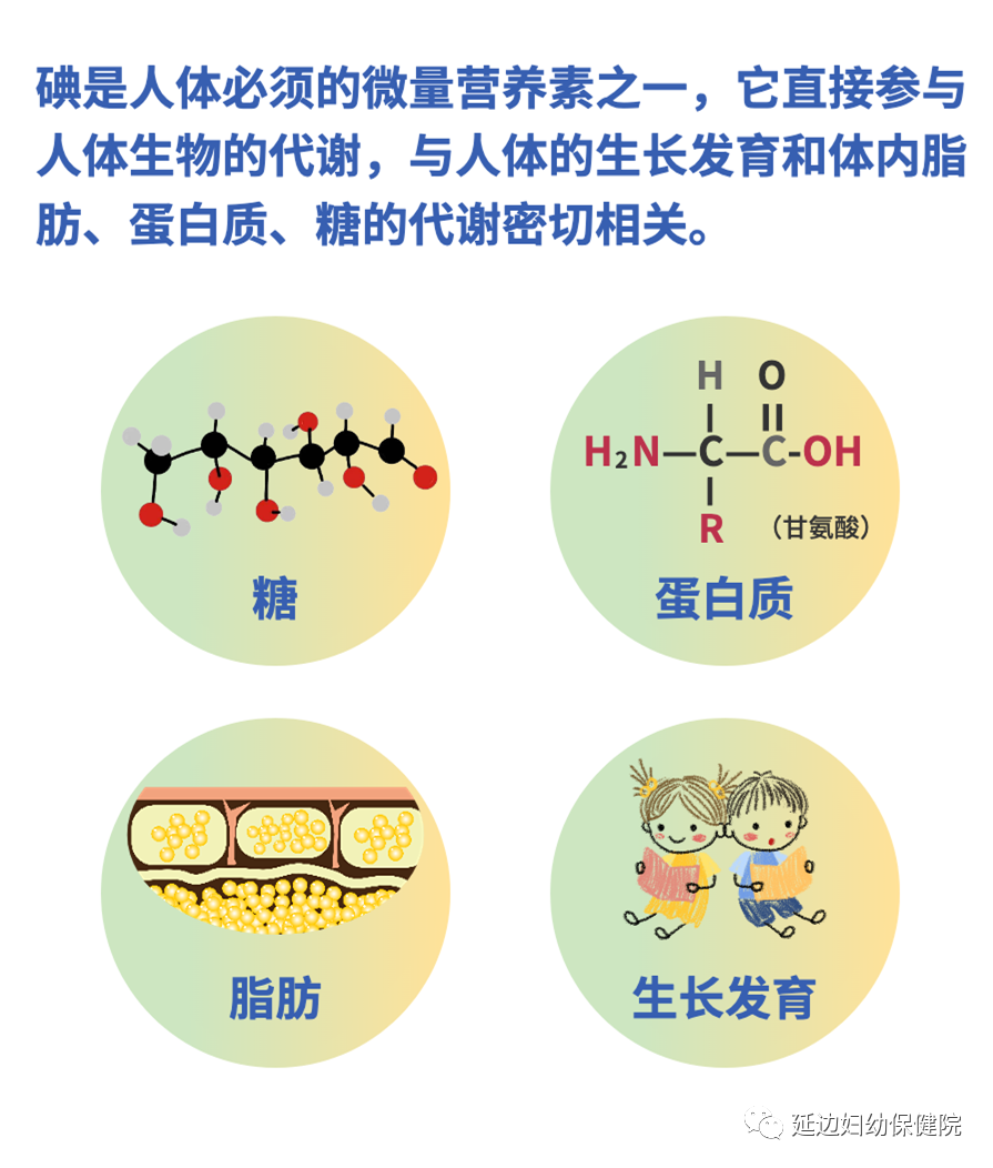 尿碘怎么测【妇幼健康科普】尿碘检测知多少？_https://www.jmylbn.com_新闻资讯_第2张