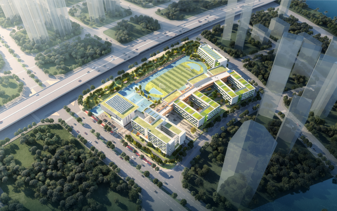 南沙新建中小学2所，横沥岛引入名校办学呼声大(图6)