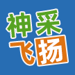 广州市神采飞扬网络科技有限公司