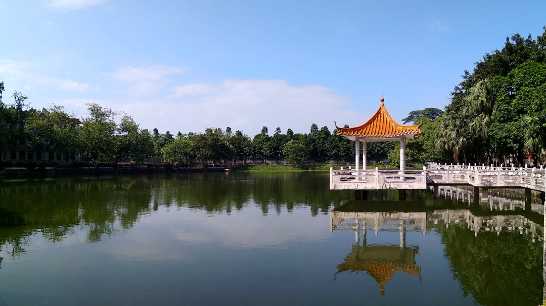 肇庆学院2022年夏季高考招生章程