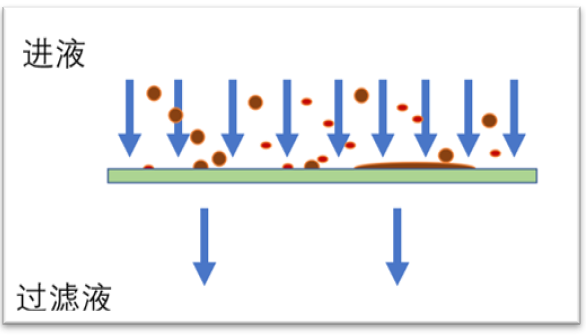 细菌滤器怎么使用透析液过滤器到底能用多久_https://www.jmylbn.com_新闻资讯_第11张