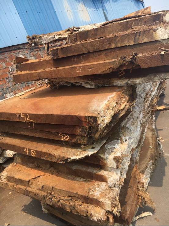 鱼珠木材会员专场:大径优质南美材,非洲材热销中