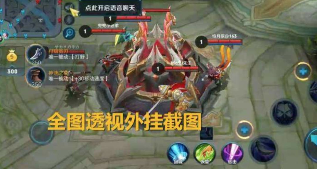 王者荣耀免费开挂神器_网侠王者荣耀自慰神器_王者荣耀刷皮肤神器