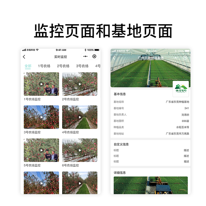 聚焦成都崇州茶店乡：有机蔬菜认养如何变革传统农业，开启多元发展新篇