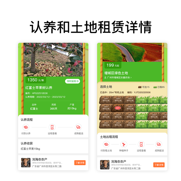 打破闲置土地的桎梏，菏泽郓城县的蔬菜认养新模式，颠覆传统农业