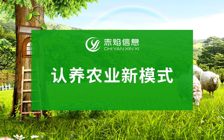 余杭生态农场的有机蔬菜认养模式，打造透明信任的农产品直供平台