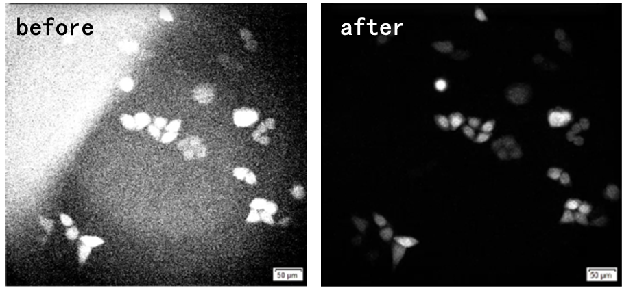 IXplore Live for Luminescence 系統(tǒng)