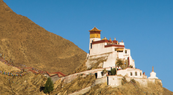 布達拉宮恢復對外開放！是時候去西藏了！ 旅遊 第13張