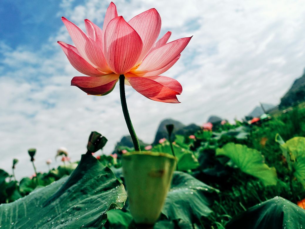 2019年夏天，最火的十個小鎮 旅遊 第14張