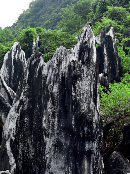 賀州，比桂林還美！ 旅遊 第12張