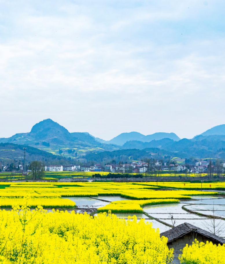 湖北，又見面了！ 旅遊 第11張